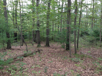 community photo
